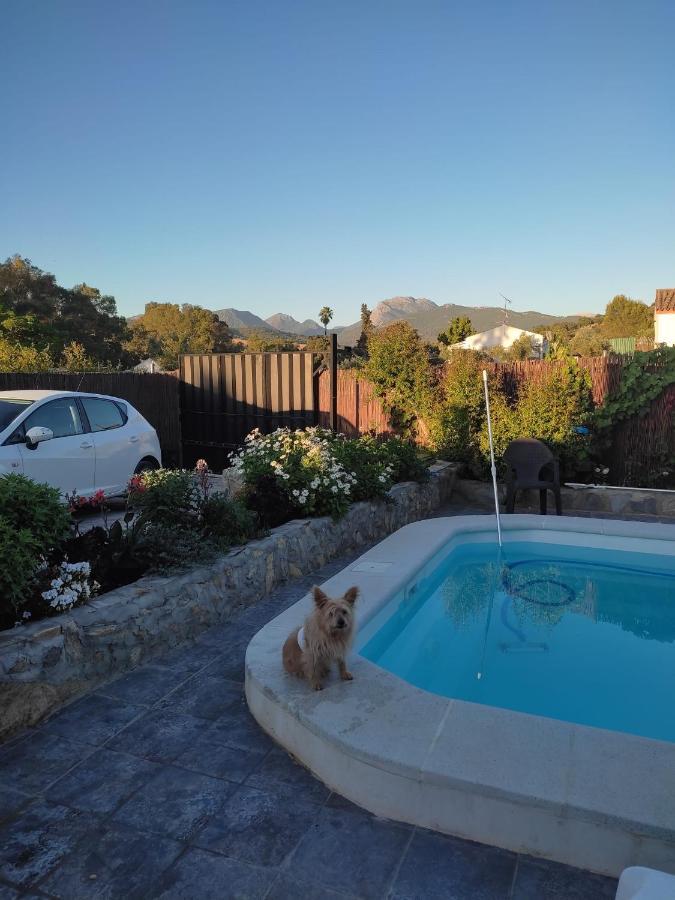 Vivienda Rural Sierra De Cadiz, Cabeza Del Rey Villa Prado del Rey Kültér fotó